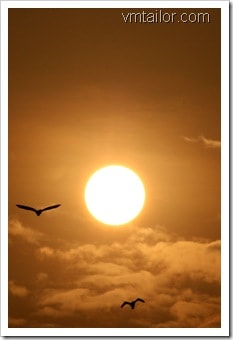 Sun by Vivek Tailor